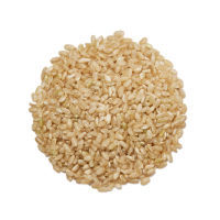 brown rice icon