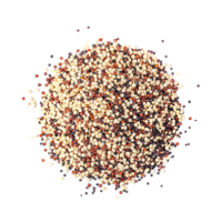 quinoa icon
