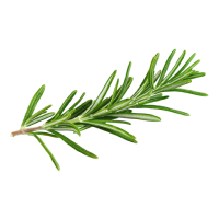 rosemary icon
