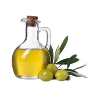 Olive Oil icon