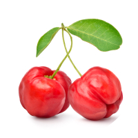 Acerola Cherry icon