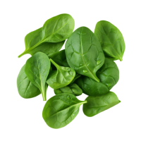 spinach icon