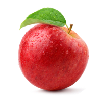 apple icon