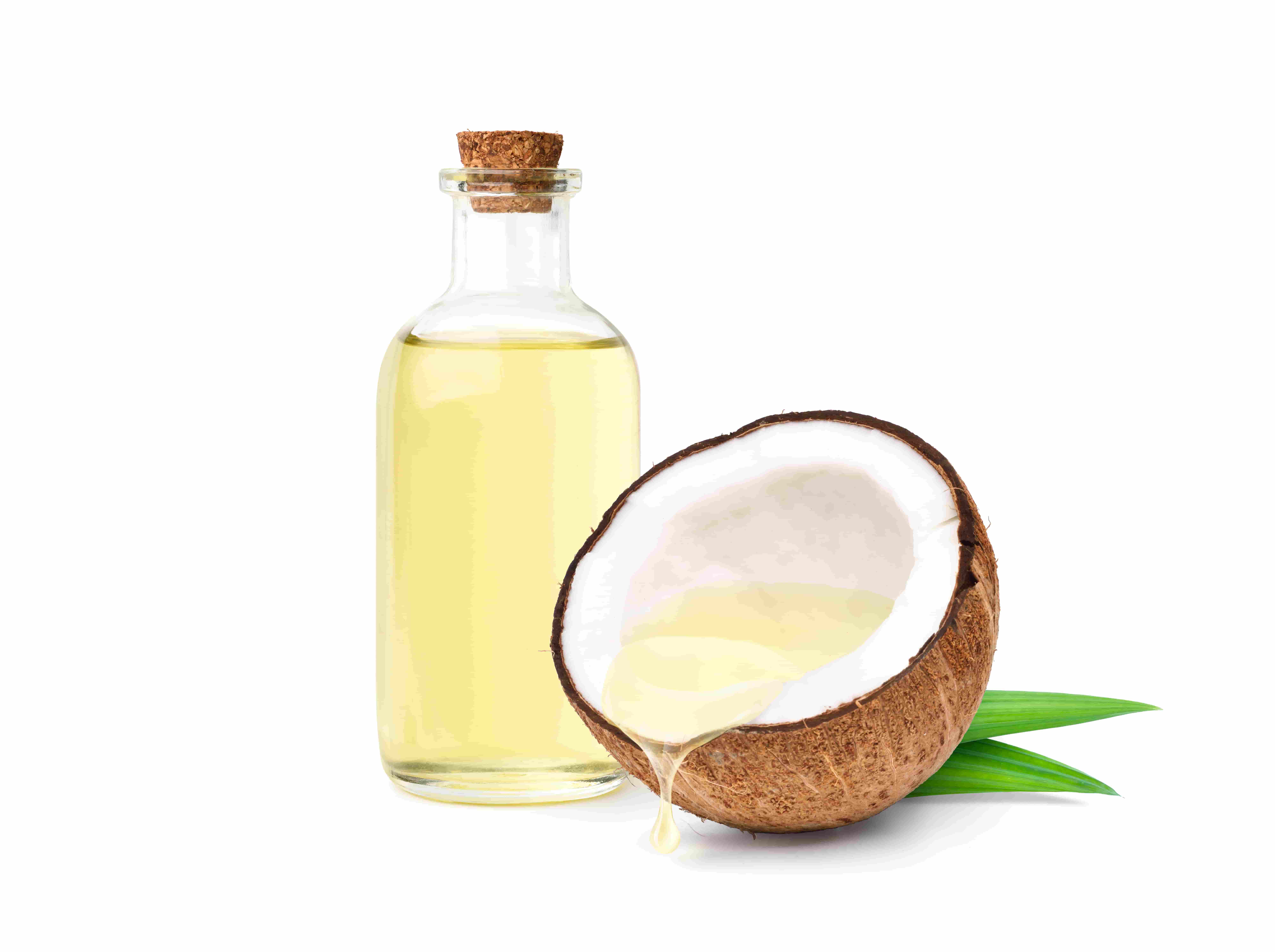 coconut oil icon