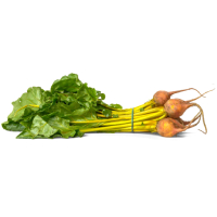 Golden Beet icon