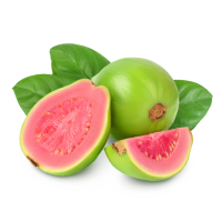 Guava icon