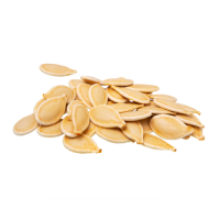 pumpkin seed icon