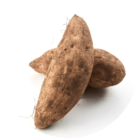 Murasaki Sweet Potato  icon
