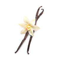 vanilla icon