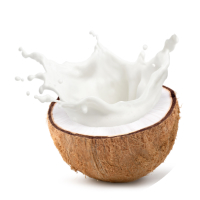 coconut milk icon