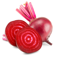 beet icon