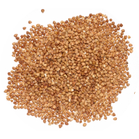 buckwheat icon