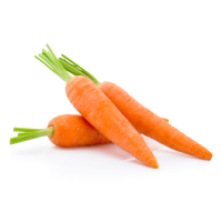 carrot icon