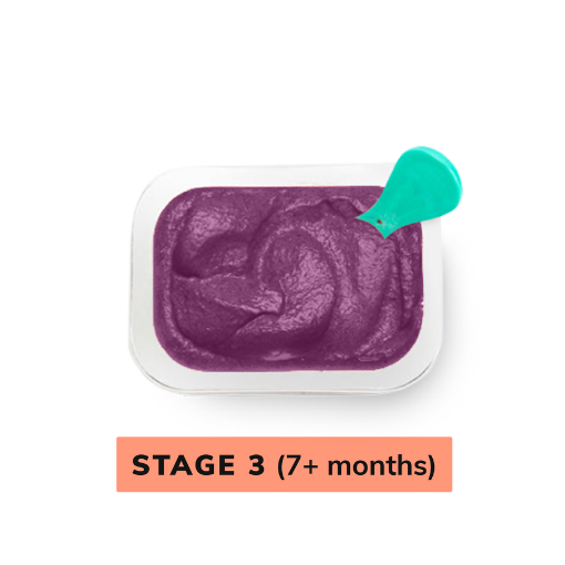 Sweet Potato, Zucchini and Blueberry Baby Food Little Spoon